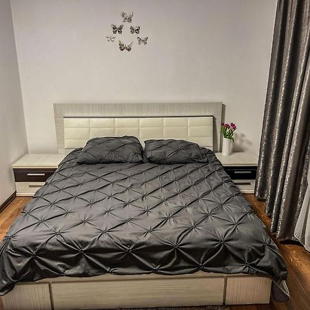 Pensiunea Brezu Sighetu Marmaţiei Exteriör bild