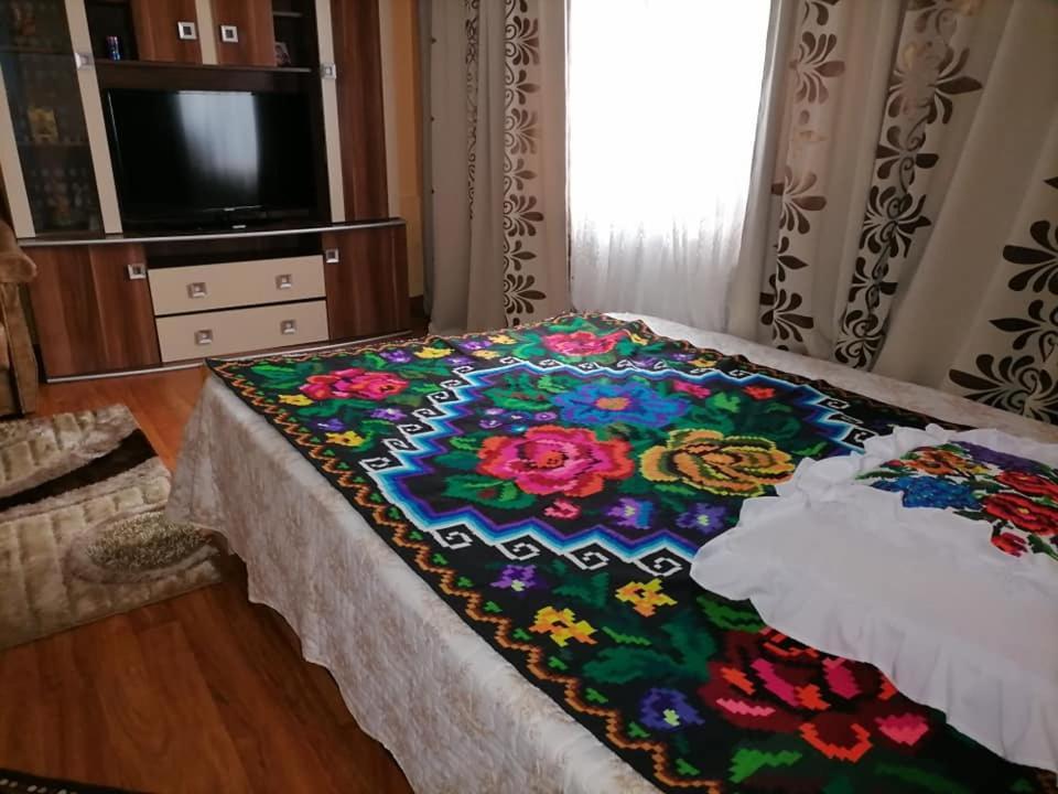 Pensiunea Brezu Sighetu Marmaţiei Exteriör bild