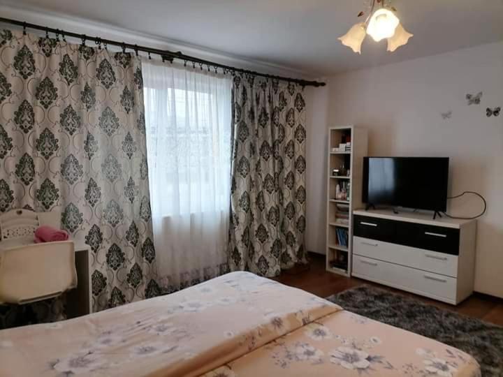 Pensiunea Brezu Sighetu Marmaţiei Exteriör bild