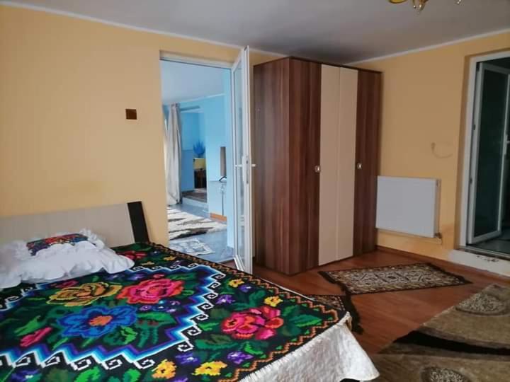 Pensiunea Brezu Sighetu Marmaţiei Exteriör bild