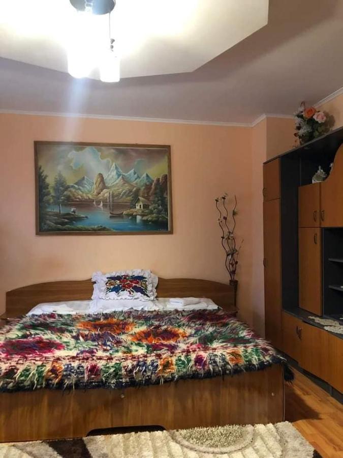 Pensiunea Brezu Sighetu Marmaţiei Exteriör bild