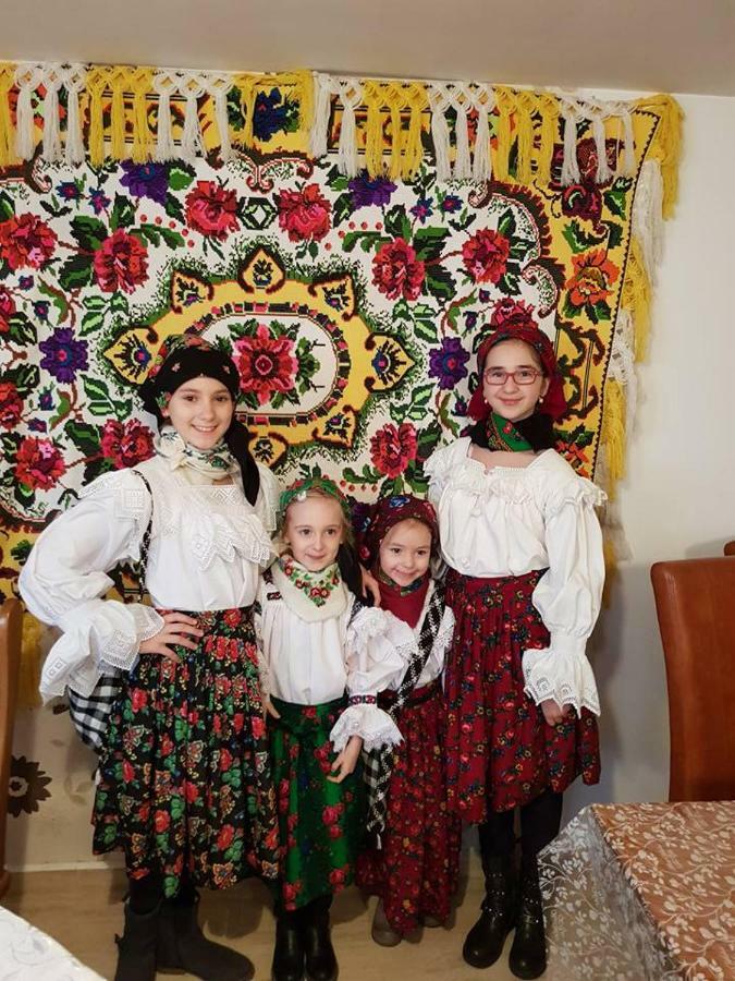 Pensiunea Brezu Sighetu Marmaţiei Exteriör bild