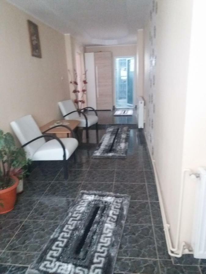 Pensiunea Brezu Sighetu Marmaţiei Exteriör bild