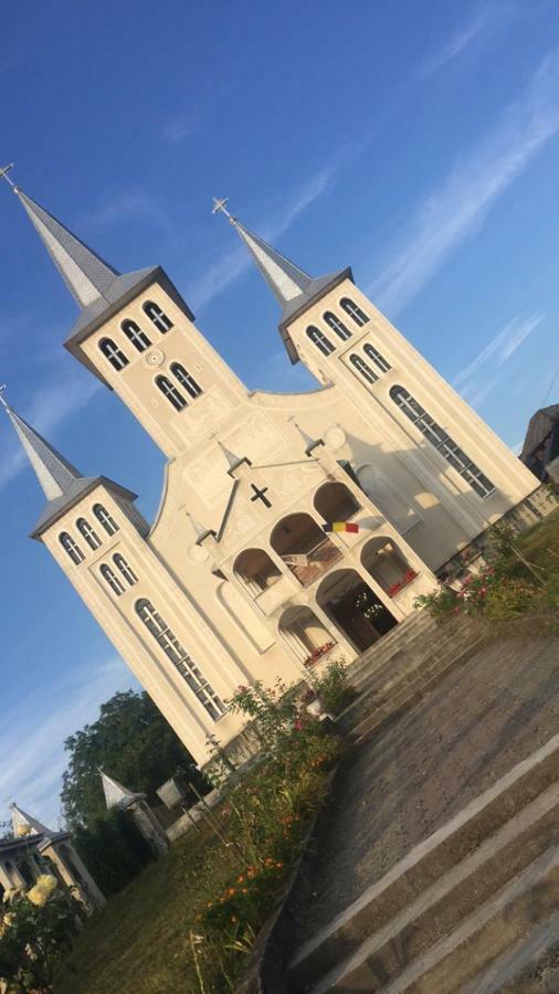 Pensiunea Brezu Sighetu Marmaţiei Exteriör bild
