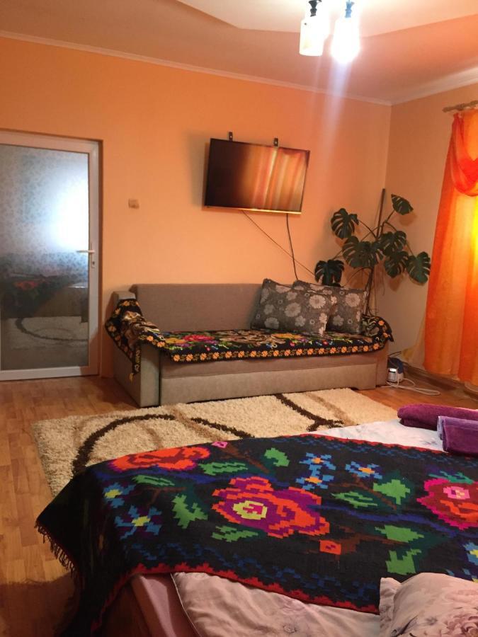 Pensiunea Brezu Sighetu Marmaţiei Exteriör bild